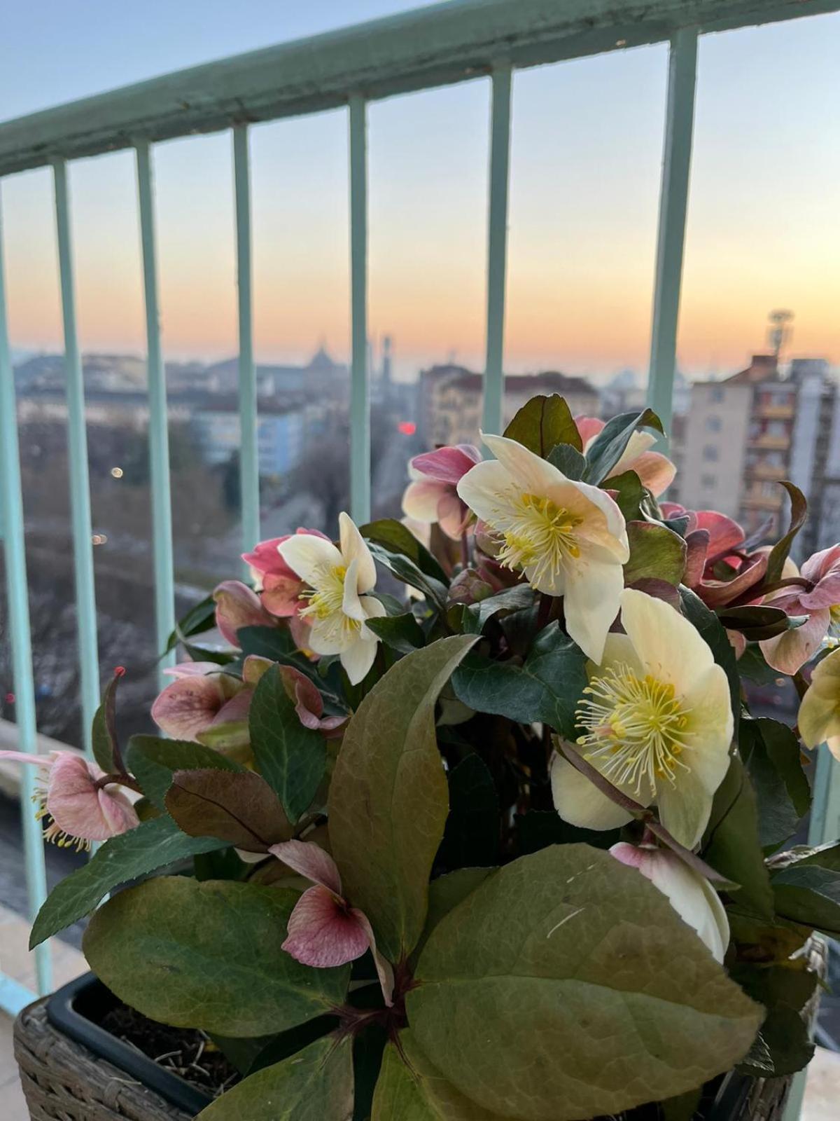 Attico Ellen Terrazza Con Vista Apartment ตูริน ภายนอก รูปภาพ